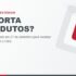DUIMP muda em 27 de setembro de 2026 para receber informações de IBS e CBS